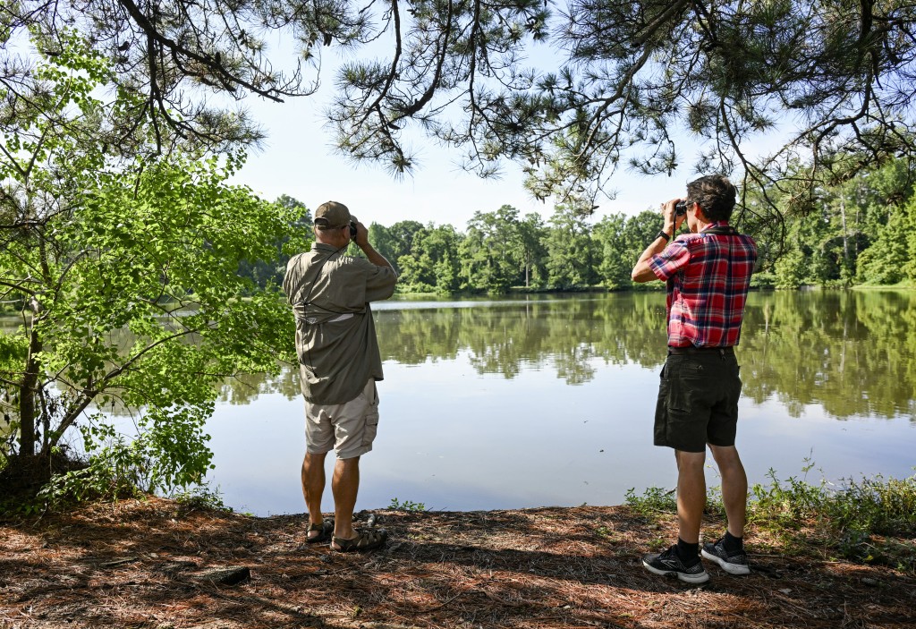 Two men stand on a forested lakeshore looking through binoculars. The man on the left wears a khaki shirt and shorts, while the man on the right wears a red plaid shirt and black shorts. The calm lake reflects the surrounding green trees and clear blue sky.