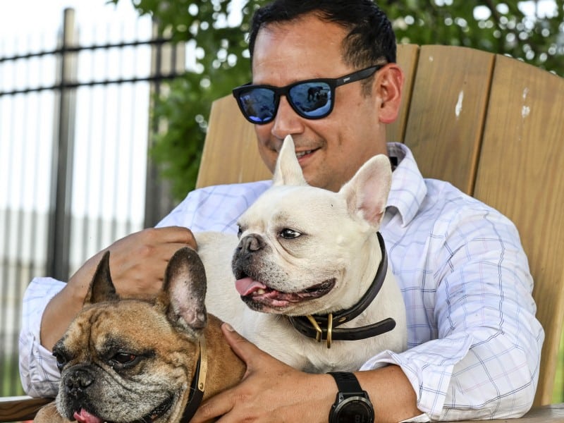 A man wearing sunglasses and a plaid shirt is sitting in a wooden chair, smiling while holding two French Bulldogs—one brown and one white.