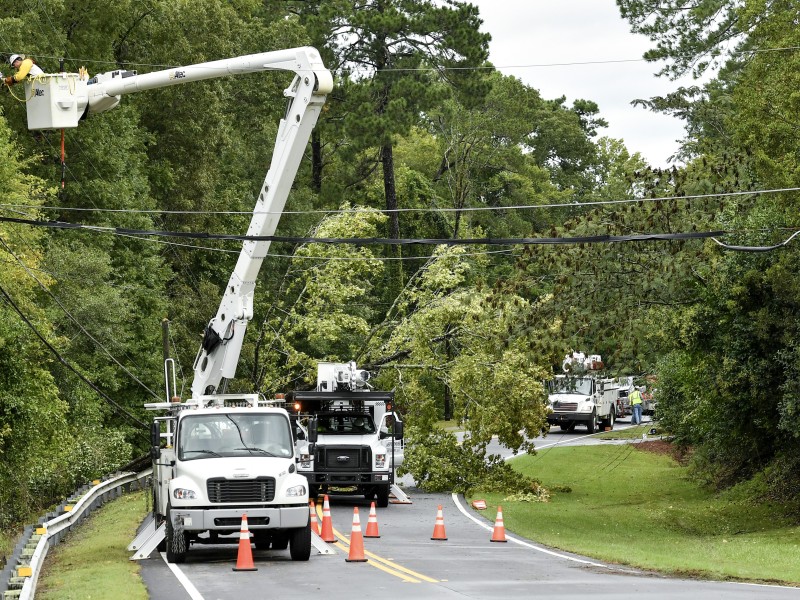 Men in white bucket trucks work on power lines and a downed tree.
